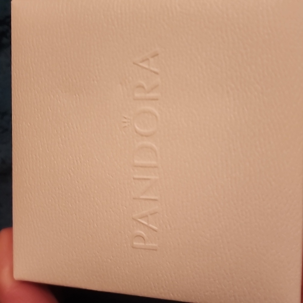 PANDORA - Picture 3 of 6